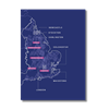 KLEEK MAP PNG Background