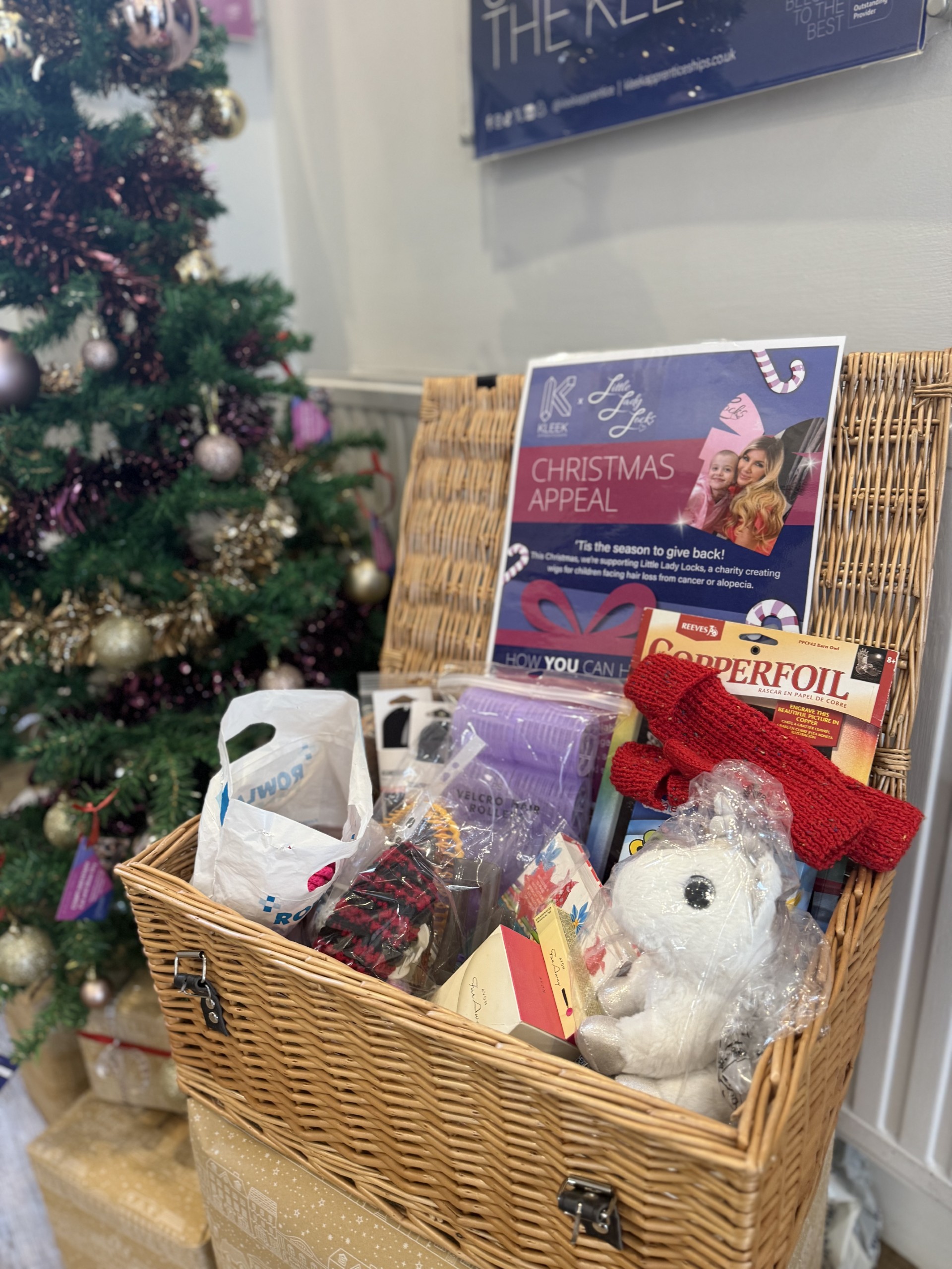 Little Lady Locks Christmas Appeal