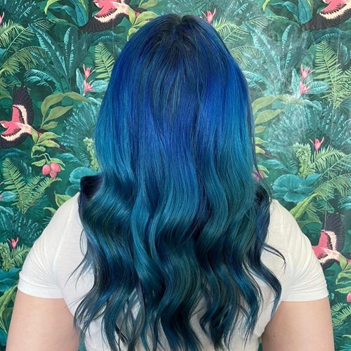 Kleek Apprenticeships National App Week