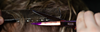 Kleekscissors